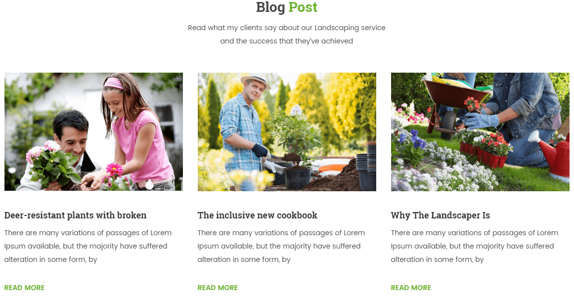 Blog Posts