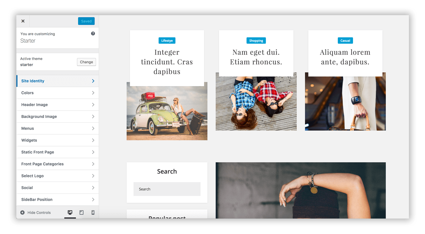 WordPress Customizer WordPress Customizer