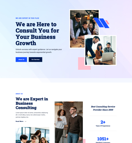 Home 1 - Business Consultation