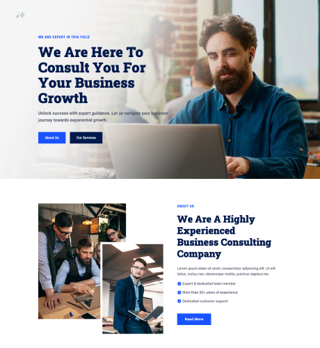 Home 2 - Business Consultation