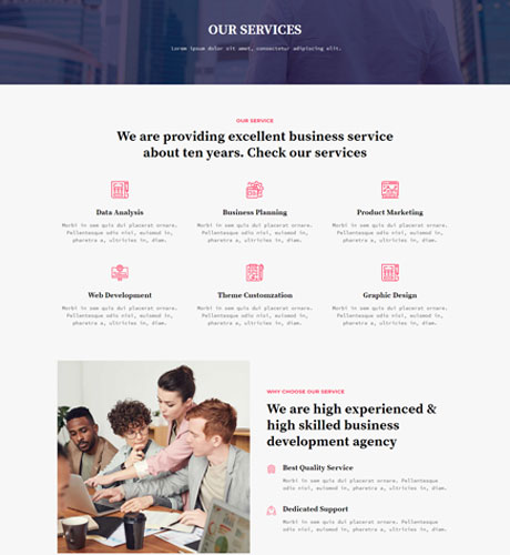 Services - Agency