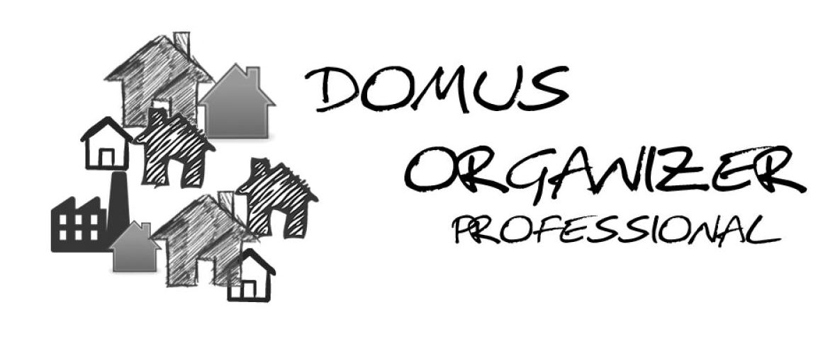 domus organizer real estate