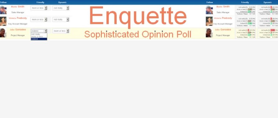 enquette poll