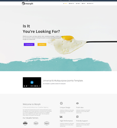 Home - Agency