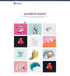 Portfolio - Agency