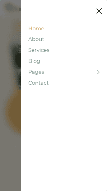 mobile menu