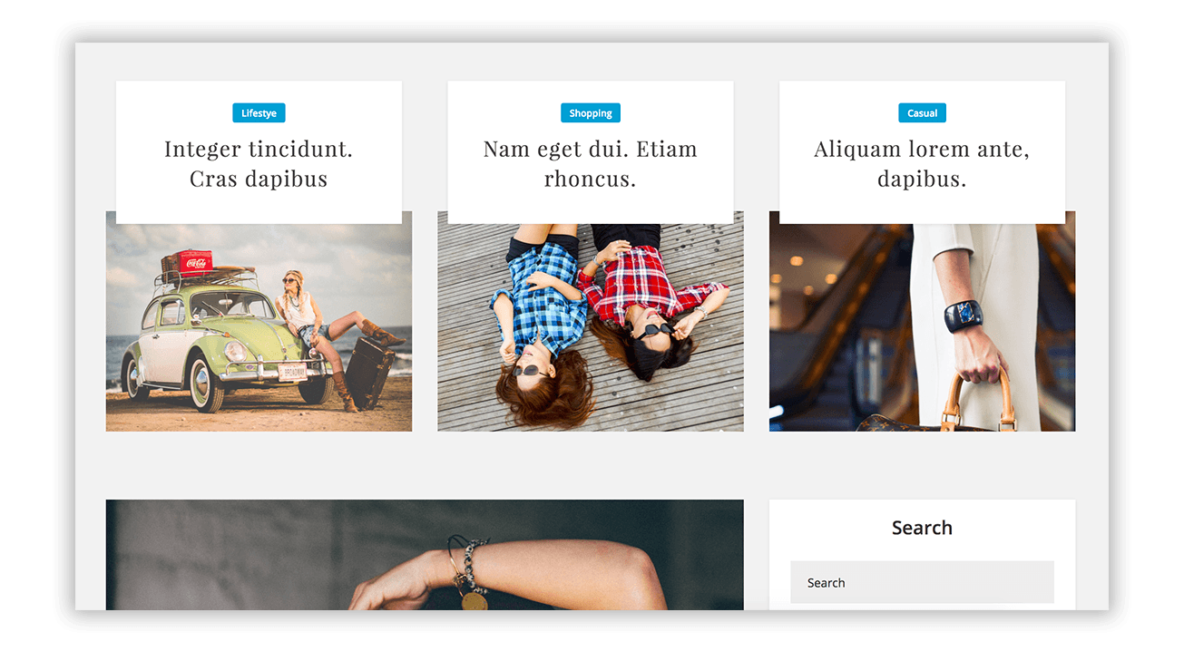 WordPress Post Types WordPress Post Types