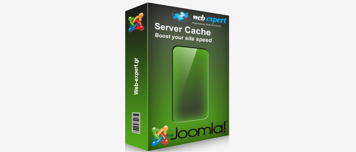 server cache