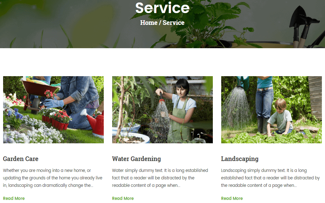 Service