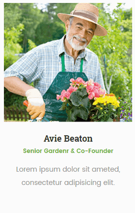 Team Member