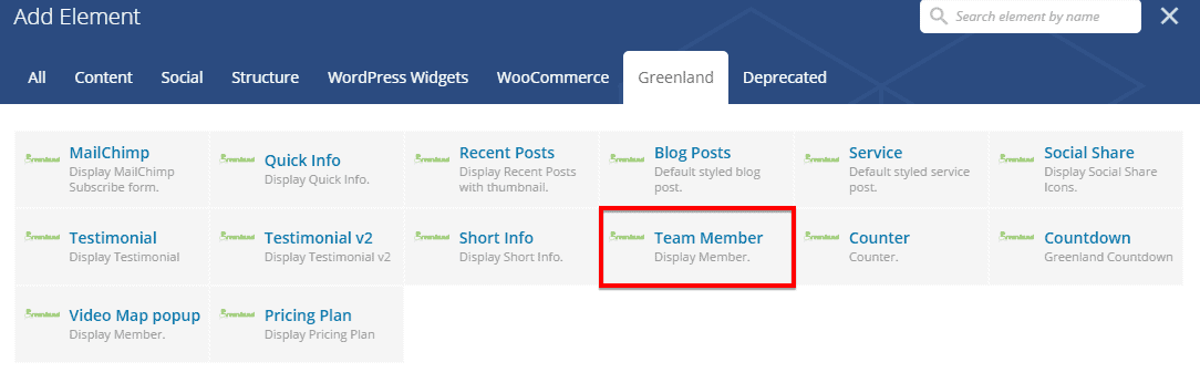 Team Member