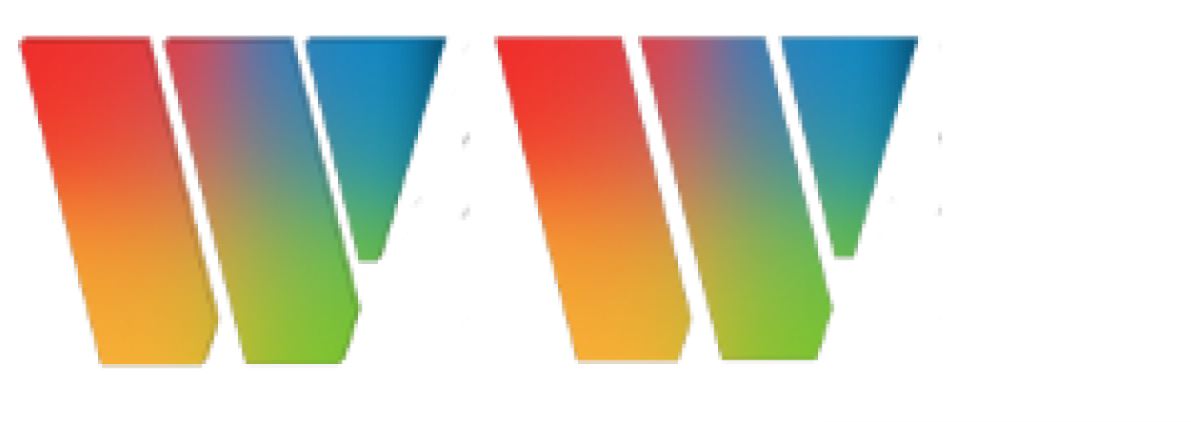 wweb surveys